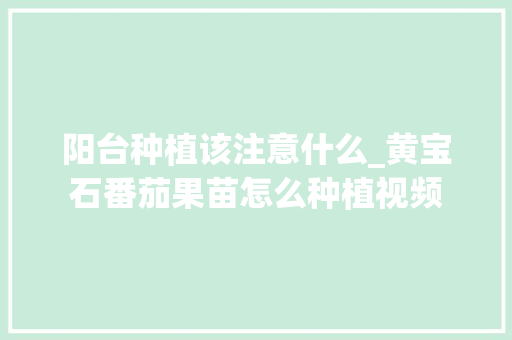 阳台种植该注意什么_黄宝石番茄果苗怎么种植视频 阳台种植该注意什么_黄宝石番茄果苗怎么种植视频 番茄种植技巧