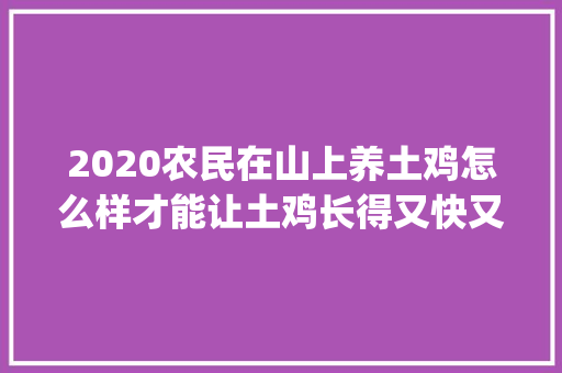2020农民在山上养土鸡怎么样才能让土鸡长得又快又肥美_广东蔬菜种植小技巧视频教程 2020农民在山上养土鸡怎么样才能让土鸡长得又快又肥美_广东蔬菜种植小技巧视频教程 土壤施肥