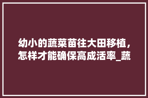 幼小的蔬菜苗往大田移植,怎样才能确保高成活率_蔬菜种植箱移苗技巧视频 土壤施肥 幼小的蔬菜苗往大田移植,怎样才能确保高成活率_蔬菜种植箱移苗技巧视频 幼小的蔬菜苗往大田移植,怎样才能确保高成活率_蔬菜种植箱移苗技巧视频 土壤施肥