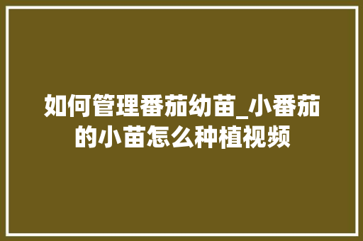 如何管理番茄幼苗_小番茄的小苗怎么种植视频 如何管理番茄幼苗_小番茄的小苗怎么种植视频 种植技巧