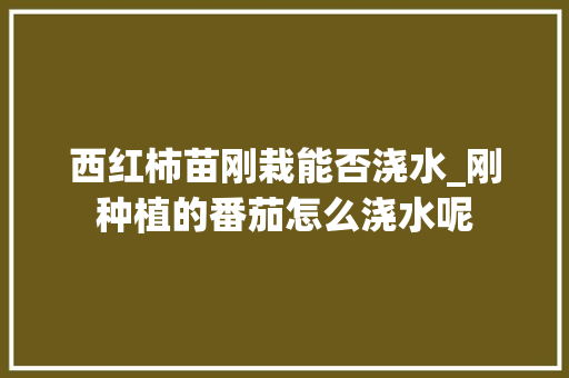 西红柿苗刚栽能否浇水_刚种植的番茄怎么浇水呢 西红柿苗刚栽能否浇水_刚种植的番茄怎么浇水呢 农业常识