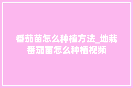 番茄苗怎么种植方法_地栽番茄苗怎么种植视频 番茄苗怎么种植方法_地栽番茄苗怎么种植视频 种植技巧