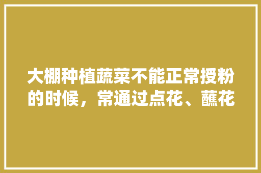 大棚种植蔬菜不能正常授粉的时候，常通过点花、蘸花提高坐果率，具体如何做_蔬菜种植小技巧小妙招视频 大棚种植蔬菜不能正常授粉的时候，常通过点花、蘸花提高坐果率，具体如何做_蔬菜种植小技巧小妙招视频 植物种类