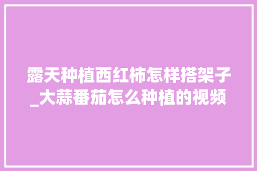 露天种植西红柿怎样搭架子_大蒜番茄怎么种植的视频 露天种植西红柿怎样搭架子_大蒜番茄怎么种植的视频 花朵知识