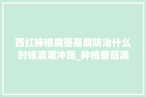 西红柿根腐茎基腐防治什么时候滴灌冲施_种植番茄滴管怎么摆放好 西红柿根腐茎基腐防治什么时候滴灌冲施_种植番茄滴管怎么摆放好 花朵知识