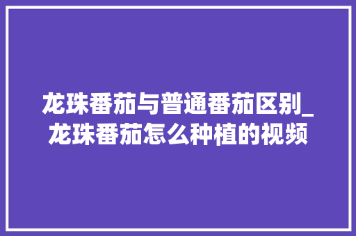 龙珠番茄与普通番茄区别_龙珠番茄怎么种植的视频 龙珠番茄与普通番茄区别_龙珠番茄怎么种植的视频 花朵知识