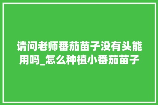 请问老师番茄苗子没有头能用吗_怎么种植小番茄苗子视频 请问老师番茄苗子没有头能用吗_怎么种植小番茄苗子视频 土壤施肥