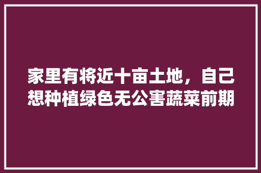 家里有将近十亩土地，自己想种植绿色无公害蔬菜前期需要投资多少_蔬菜种植技巧书报价及图片 家里有将近十亩土地，自己想种植绿色无公害蔬菜前期需要投资多少_蔬菜种植技巧书报价及图片 种植技巧