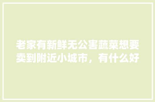 老家有新鲜无公害蔬菜想要卖到附近小城市，有什么好的办法或者渠道吗_无公害蔬菜种植技巧图片大全