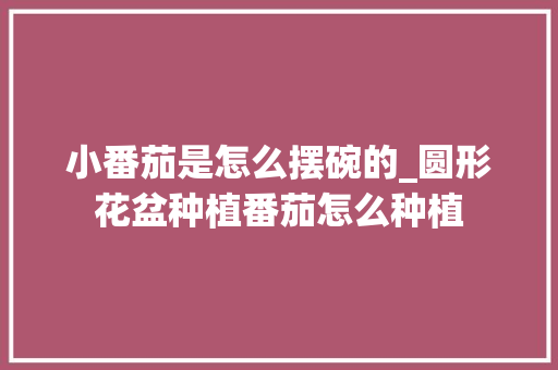 小番茄是怎么摆碗的_圆形花盆种植番茄怎么种植 小番茄是怎么摆碗的_圆形花盆种植番茄怎么种植 番茄病虫害防治