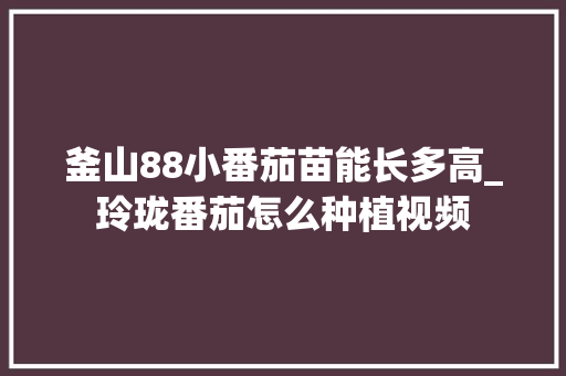 釜山88小番茄苗能长多高_玲珑番茄怎么种植视频 釜山88小番茄苗能长多高_玲珑番茄怎么种植视频 土壤施肥