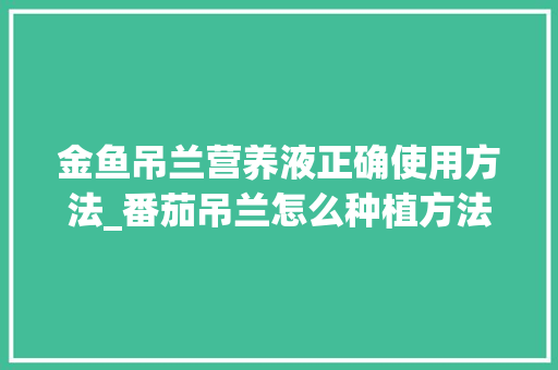 金鱼吊兰营养液正确使用方法_番茄吊兰怎么种植方法