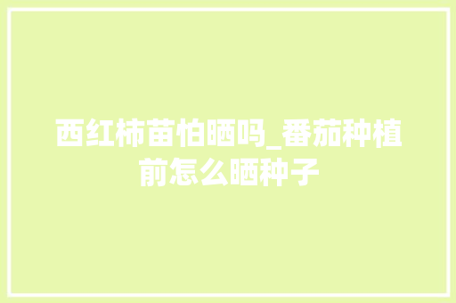 西红柿苗怕晒吗_番茄种植前怎么晒种子 西红柿苗怕晒吗_番茄种植前怎么晒种子 种植技巧