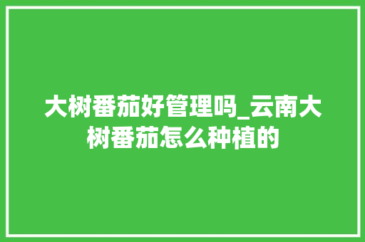 大树番茄好管理吗_云南大树番茄怎么种植的 大树番茄好管理吗_云南大树番茄怎么种植的 土壤施肥