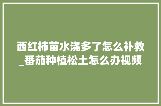 西红柿苗水浇多了怎么补救_番茄种植松土怎么办视频