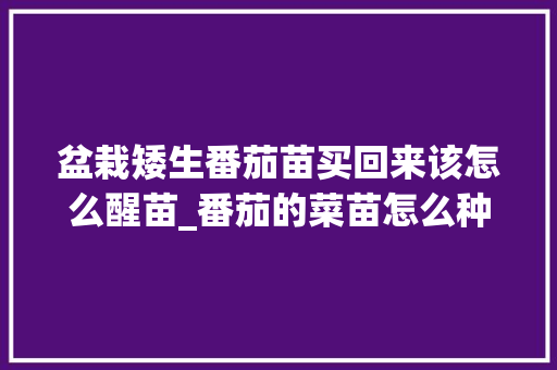盆栽矮生番茄苗买回来该怎么醒苗_番茄的菜苗怎么种植的视频 盆栽矮生番茄苗买回来该怎么醒苗_番茄的菜苗怎么种植的视频 番茄种植技巧