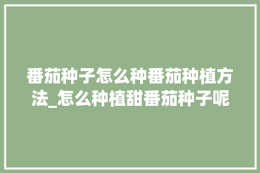 番茄种子怎么种番茄种植方法_怎么种植甜番茄种子呢 番茄种子怎么种番茄种植方法_怎么种植甜番茄种子呢 土壤施肥