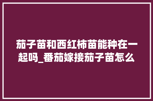 茄子苗和西红柿苗能种在一起吗_番茄嫁接茄子苗怎么种植视频 茄子苗和西红柿苗能种在一起吗_番茄嫁接茄子苗怎么种植视频 农业常识