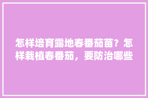怎样培育露地春番茄苗？怎样栽植春番茄，要防治哪些病害_用新鲜番茄怎么种植视频 怎样培育露地春番茄苗？怎样栽植春番茄，要防治哪些病害_用新鲜番茄怎么种植视频 番茄种植技巧