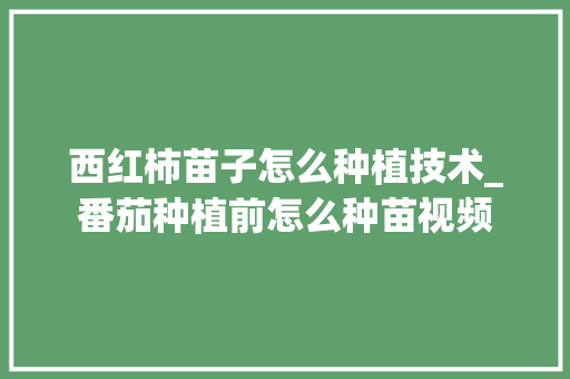 西红柿苗子怎么种植技术_番茄种植前怎么种苗视频 西红柿苗子怎么种植技术_番茄种植前怎么种苗视频 土壤施肥