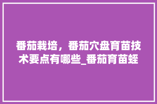 番茄栽培，番茄穴盘育苗技术要点有哪些_番茄育苗蛭石怎么种植的视频 番茄栽培，番茄穴盘育苗技术要点有哪些_番茄育苗蛭石怎么种植的视频 种植技巧