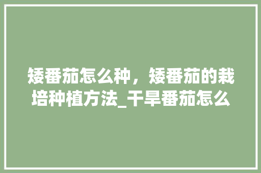 矮番茄怎么种，矮番茄的栽培种植方法_干旱番茄怎么种植的