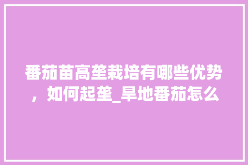 番茄苗高垄栽培有哪些优势，如何起垄_旱地番茄怎么种植视频 番茄苗高垄栽培有哪些优势，如何起垄_旱地番茄怎么种植视频 花朵知识