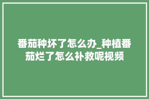 番茄种坏了怎么办_种植番茄烂了怎么补救呢视频 番茄种坏了怎么办_种植番茄烂了怎么补救呢视频 农业常识