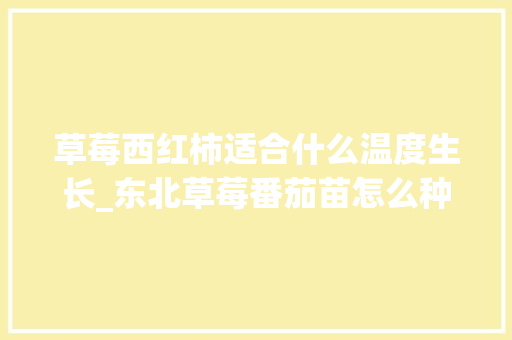 草莓西红柿适合什么温度生长_东北草莓番茄苗怎么种植视频 草莓西红柿适合什么温度生长_东北草莓番茄苗怎么种植视频 农业常识