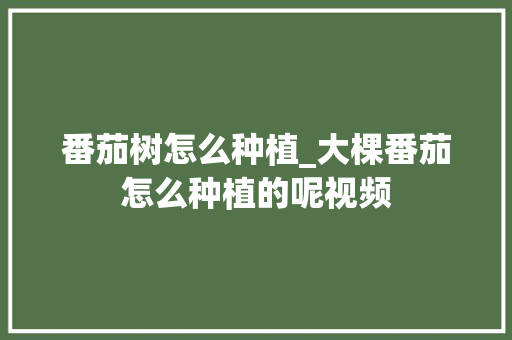 番茄树怎么种植_大棵番茄怎么种植的呢视频 番茄树怎么种植_大棵番茄怎么种植的呢视频 种植技巧