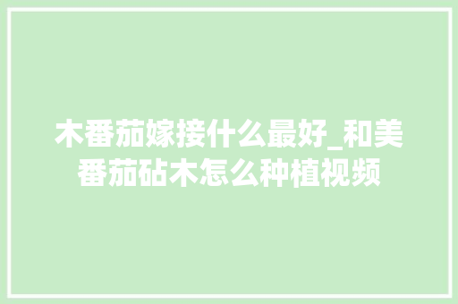 木番茄嫁接什么最好_和美番茄砧木怎么种植视频 木番茄嫁接什么最好_和美番茄砧木怎么种植视频 土壤施肥