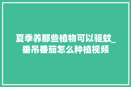 夏季养那些植物可以驱蚊_垂吊番茄怎么种植视频