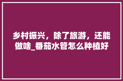 乡村振兴，除了旅游，还能做啥_番茄水管怎么种植好看图片