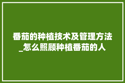 番茄的种植技术及管理方法_怎么照顾种植番茄的人 番茄的种植技术及管理方法_怎么照顾种植番茄的人 植物种类