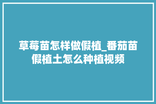 草莓苗怎样做假植_番茄苗假植土怎么种植视频