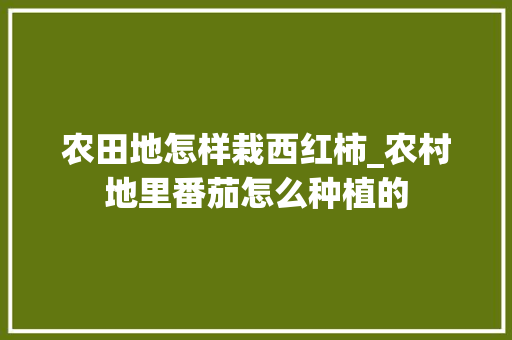 农田地怎样栽西红柿_农村地里番茄怎么种植的 农田地怎样栽西红柿_农村地里番茄怎么种植的 植物种类