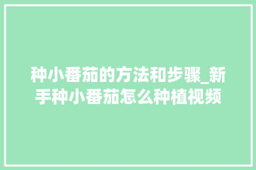 种小番茄的方法和步骤_新手种小番茄怎么种植视频 种小番茄的方法和步骤_新手种小番茄怎么种植视频 土壤施肥