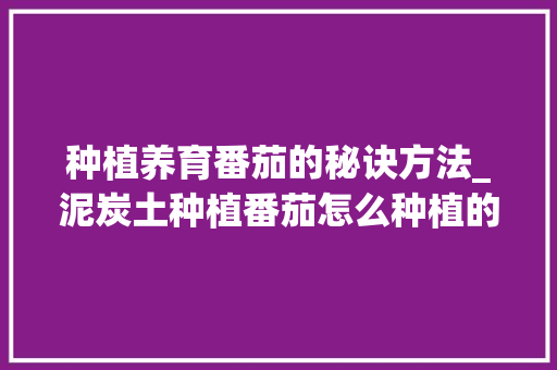 种植养育番茄的秘诀方法_泥炭土种植番茄怎么种植的 种植养育番茄的秘诀方法_泥炭土种植番茄怎么种植的 植物种类