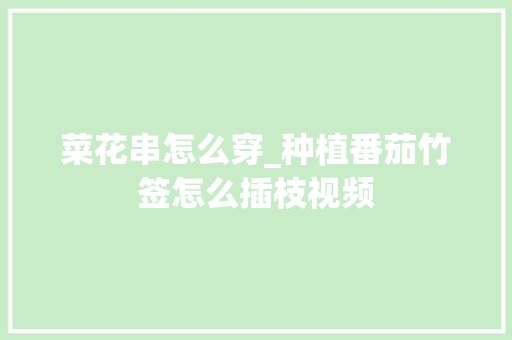菜花串怎么穿_种植番茄竹签怎么插枝视频