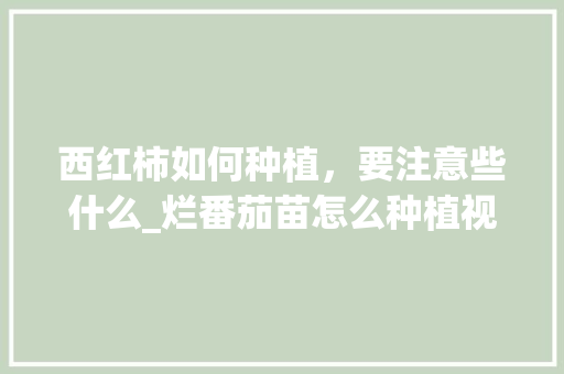 西红柿如何种植，要注意些什么_烂番茄苗怎么种植视频 西红柿如何种植，要注意些什么_烂番茄苗怎么种植视频 番茄病虫害防治