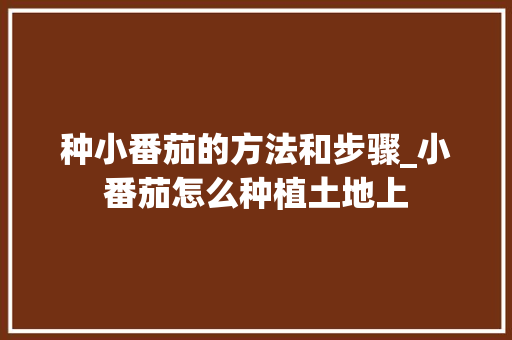 种小番茄的方法和步骤_小番茄怎么种植土地上 种小番茄的方法和步骤_小番茄怎么种植土地上 土壤施肥