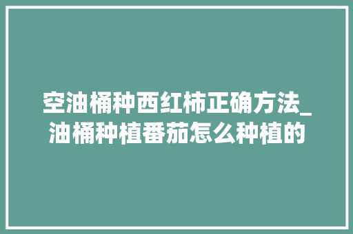 空油桶种西红柿正确方法_油桶种植番茄怎么种植的