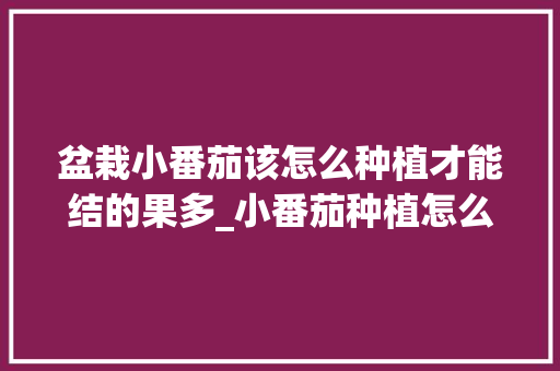 盆栽小番茄该怎么种植才能结的果多_小番茄种植怎么结果的呢 盆栽小番茄该怎么种植才能结的果多_小番茄种植怎么结果的呢 番茄种植技巧