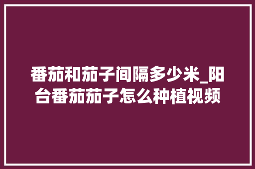 番茄和茄子间隔多少米_阳台番茄茄子怎么种植视频 番茄和茄子间隔多少米_阳台番茄茄子怎么种植视频 番茄种植技巧