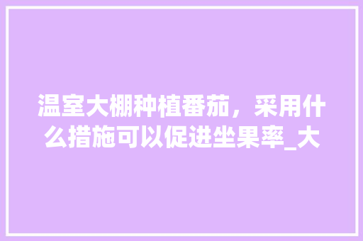 温室大棚种植番茄，采用什么措施可以促进坐果率_大棚番茄怎么种植高产呢视频 温室大棚种植番茄，采用什么措施可以促进坐果率_大棚番茄怎么种植高产呢视频 植物种类