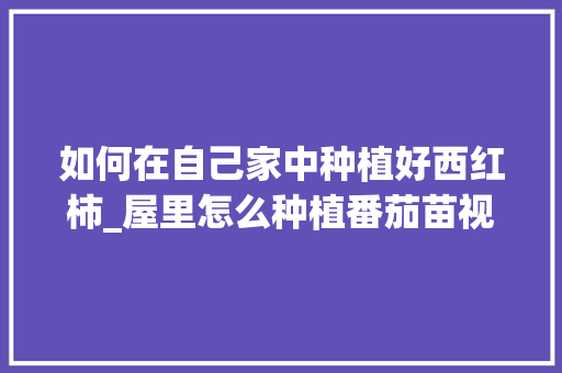 如何在自己家中种植好西红柿_屋里怎么种植番茄苗视频 如何在自己家中种植好西红柿_屋里怎么种植番茄苗视频 番茄病虫害防治