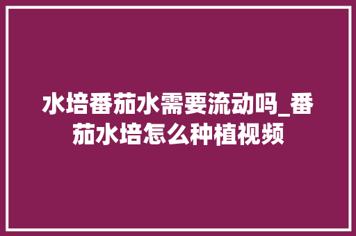水培番茄水需要流动吗_番茄水培怎么种植视频 水培番茄水需要流动吗_番茄水培怎么种植视频 番茄种植技巧