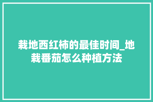 栽地西红柿的最佳时间_地栽番茄怎么种植方法 栽地西红柿的最佳时间_地栽番茄怎么种植方法 土壤施肥