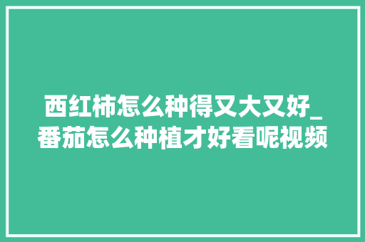 西红柿怎么种得又大又好_番茄怎么种植才好看呢视频 西红柿怎么种得又大又好_番茄怎么种植才好看呢视频 花朵知识