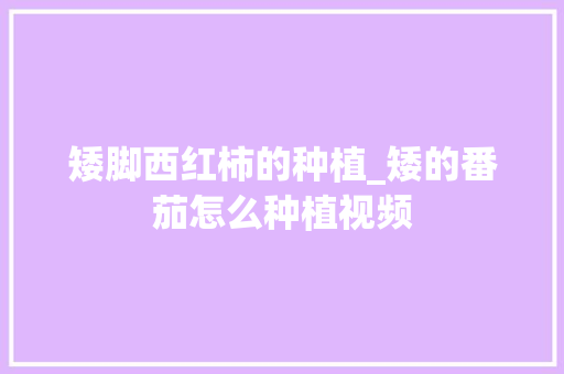 矮脚西红柿的种植_矮的番茄怎么种植视频 种植技巧 矮脚西红柿的种植_矮的番茄怎么种植视频 矮脚西红柿的种植_矮的番茄怎么种植视频 种植技巧